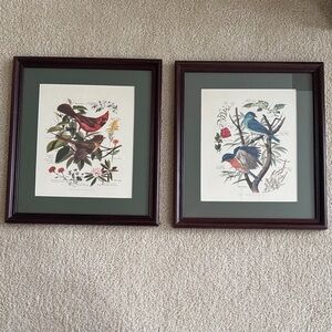 Arthur Singer Vintage Framed Bird Art Prints